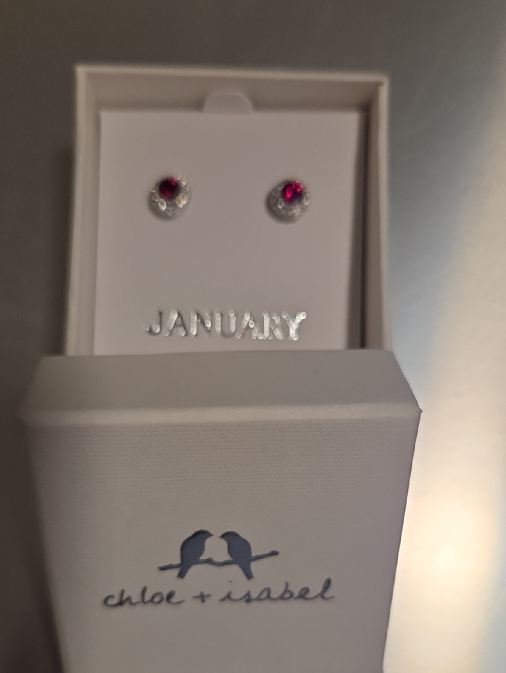 Chloe + Isabel Petits Bijoux Convertible Circle Stud - JANUARY - E487GASR
